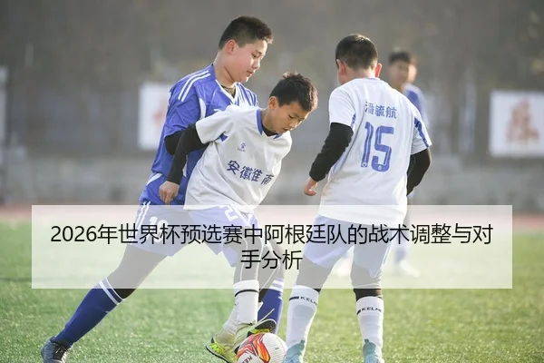 2026年世界杯预选赛中阿根廷队的战术调整与对手分析