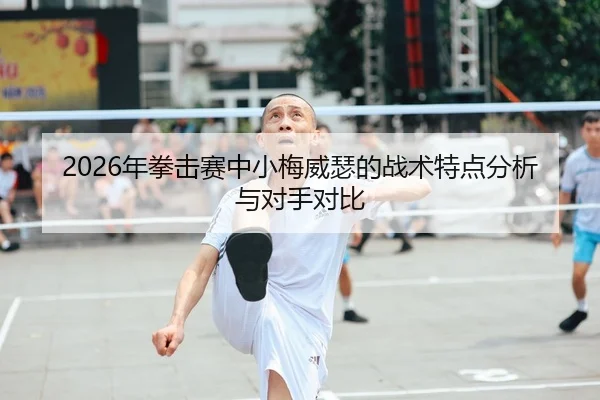 2026年拳击赛中小梅威瑟的战术特点分析与对手对比