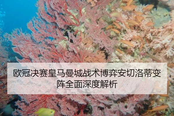ou-guan-jue-sai-huang-ma-man-cheng-zhan-shu-bo-yi-an-qie-luo-di-bian-zhen-quan-mian-shen-du-jie-xi-3-584.jpg